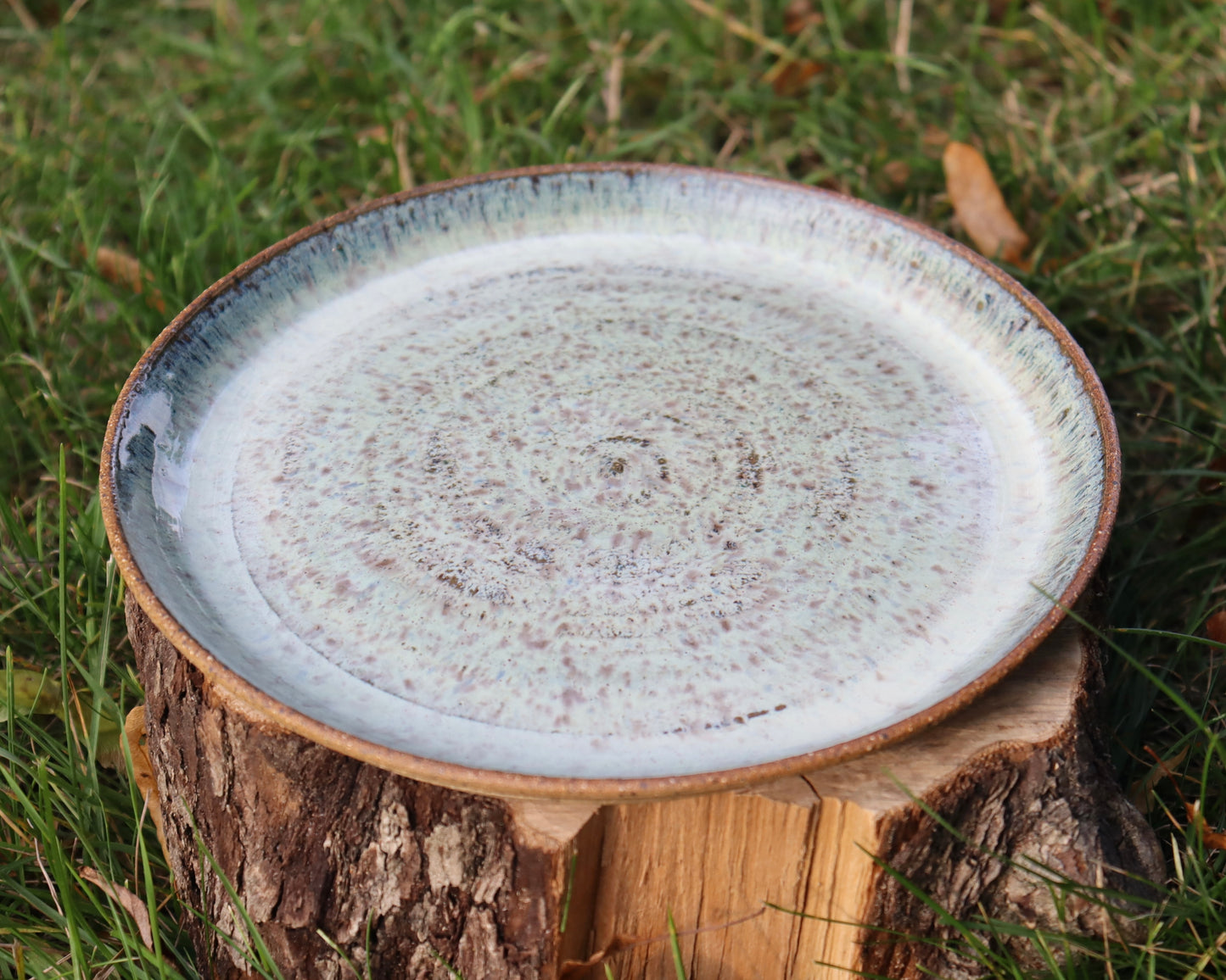 Icelandic Plate