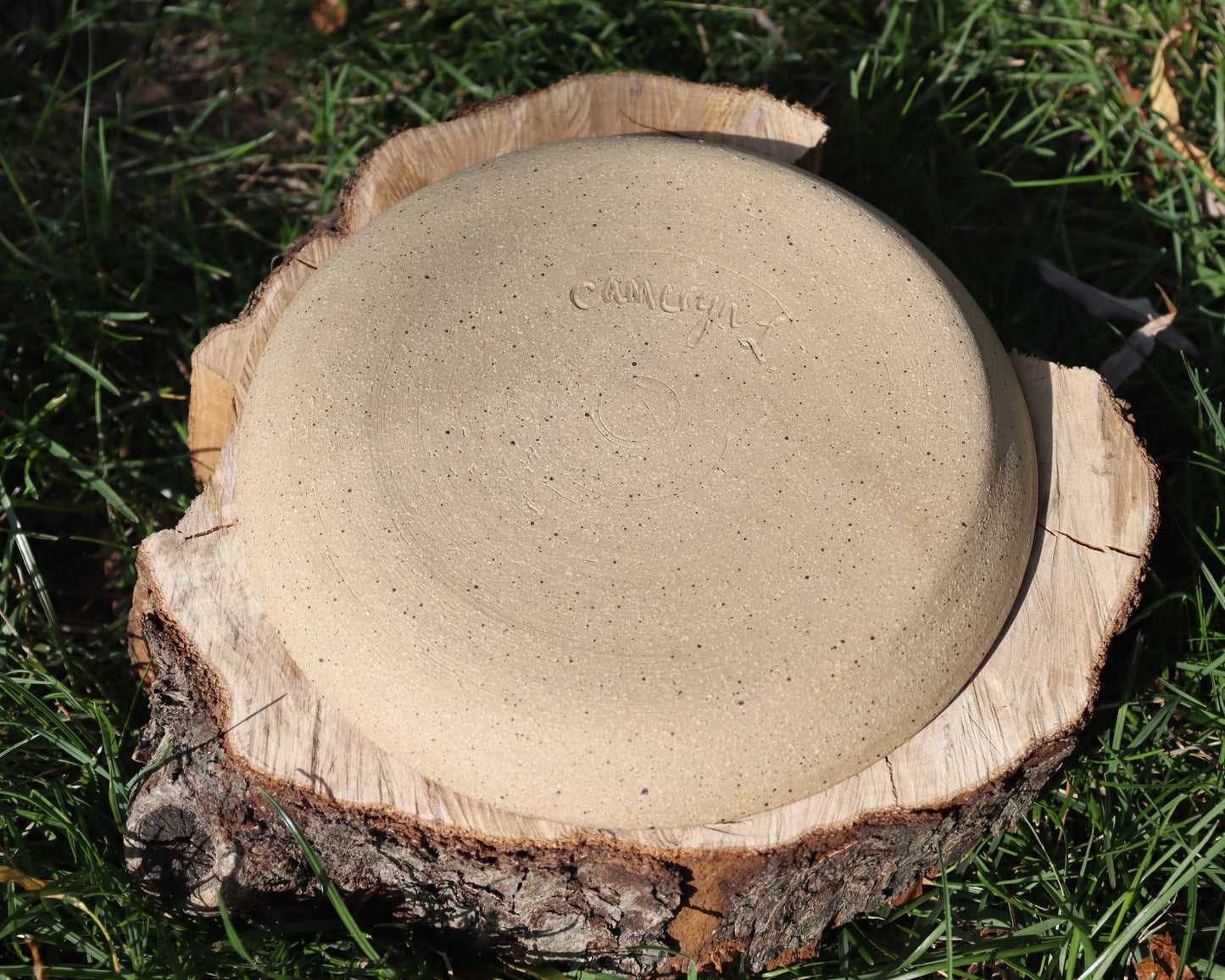 Icelandic Plate