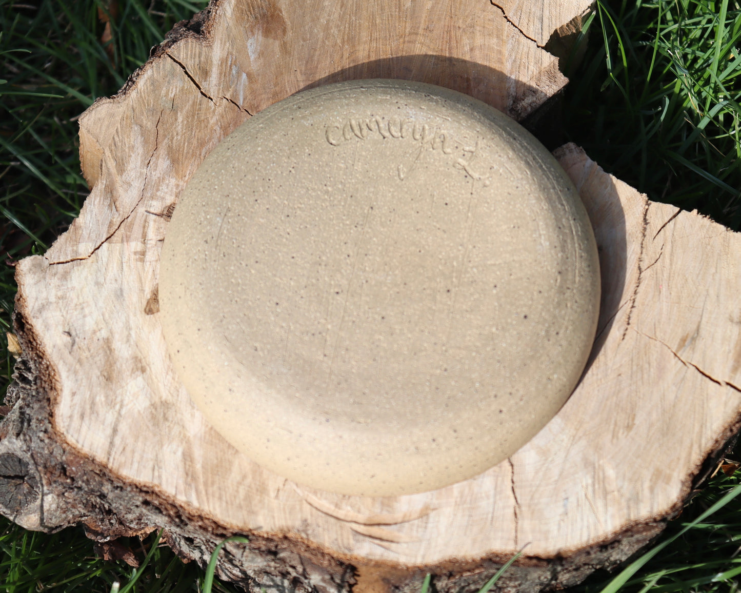 Small Icelandic Plate