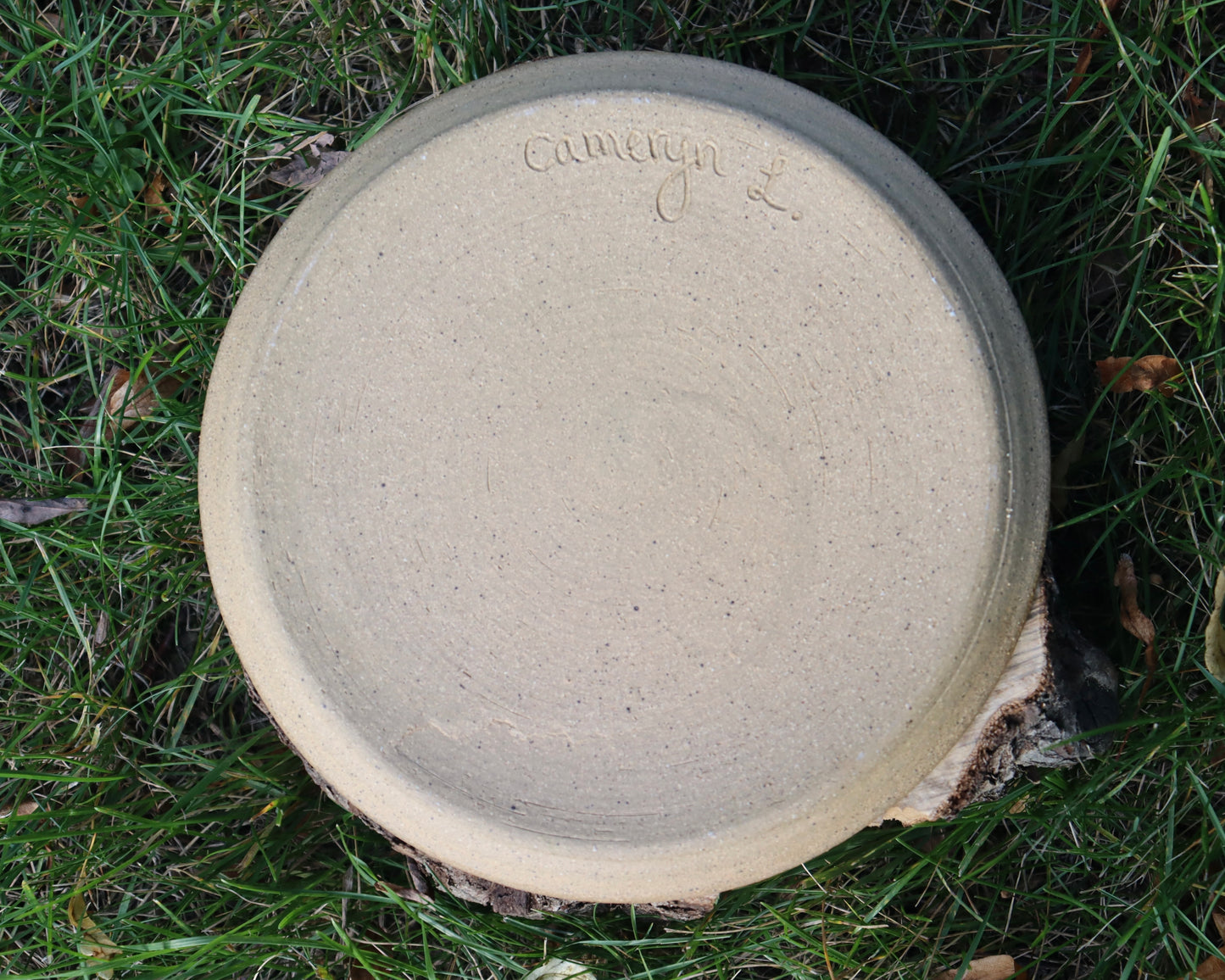 Icelandic Plate