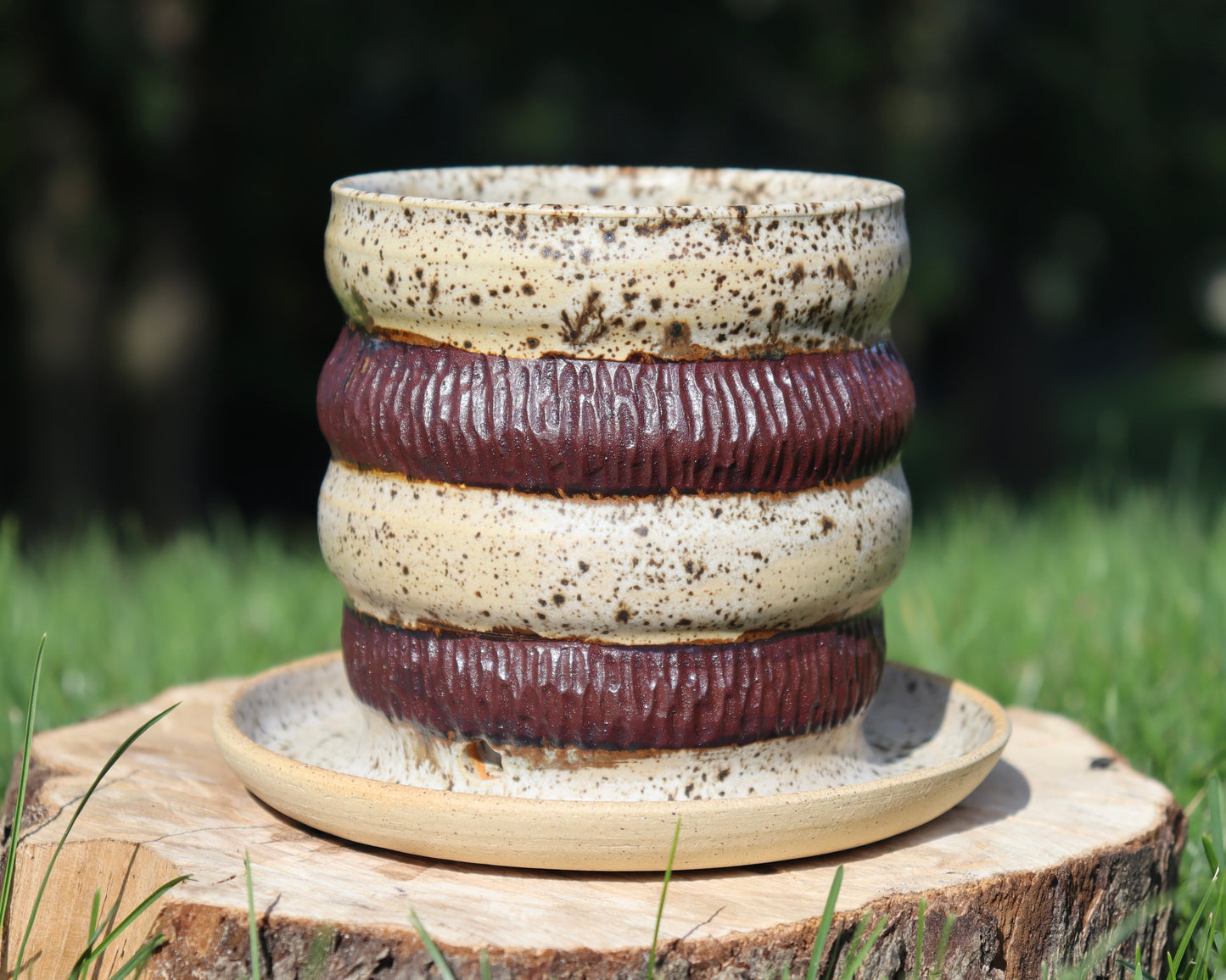 Birch Wood Planter