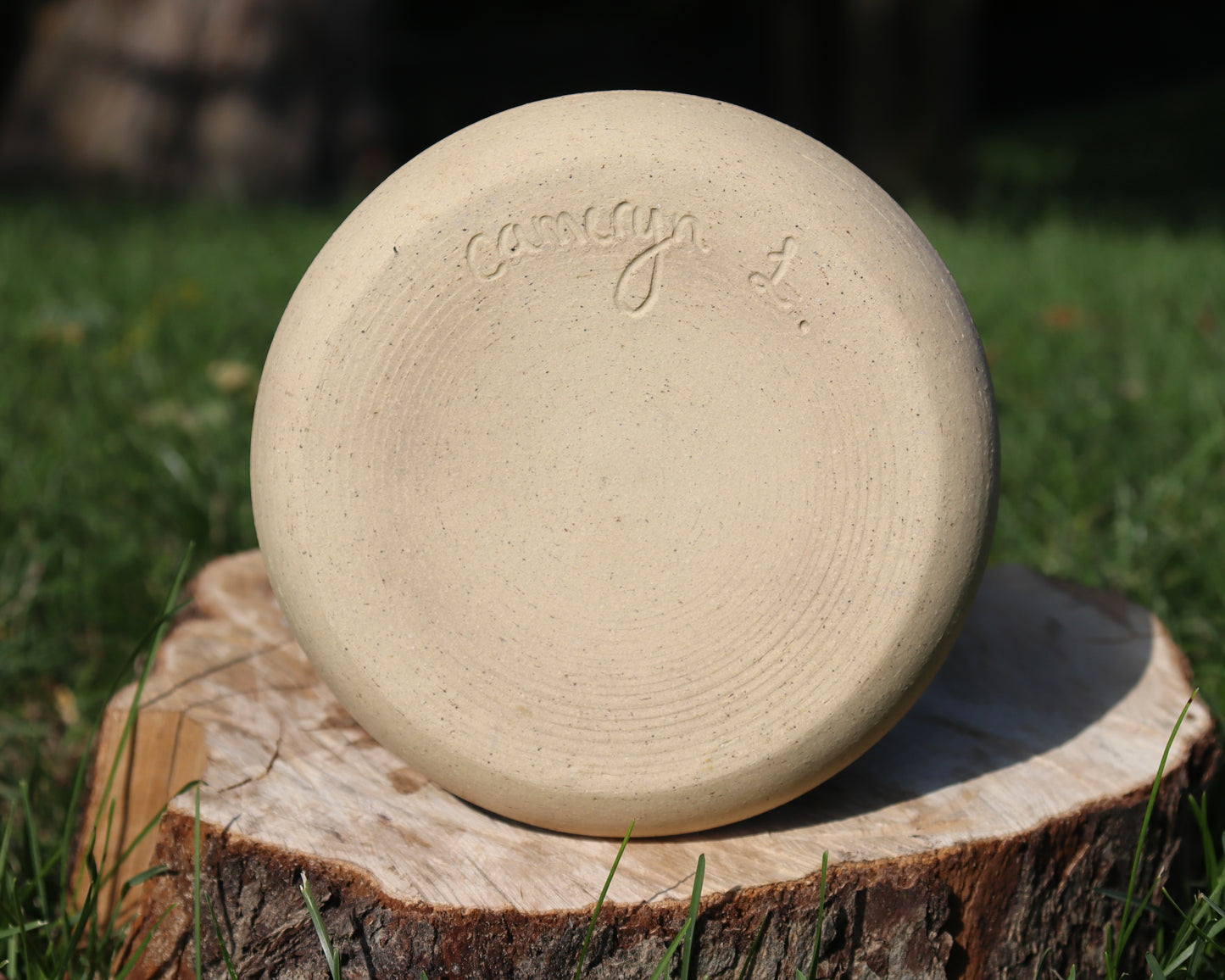 Green and Birch Textured Planter