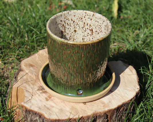 Green and Birch Textured Planter