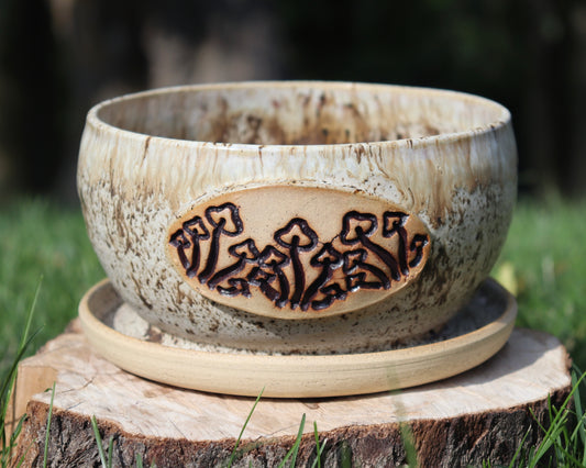 Melting Mushroom Planter