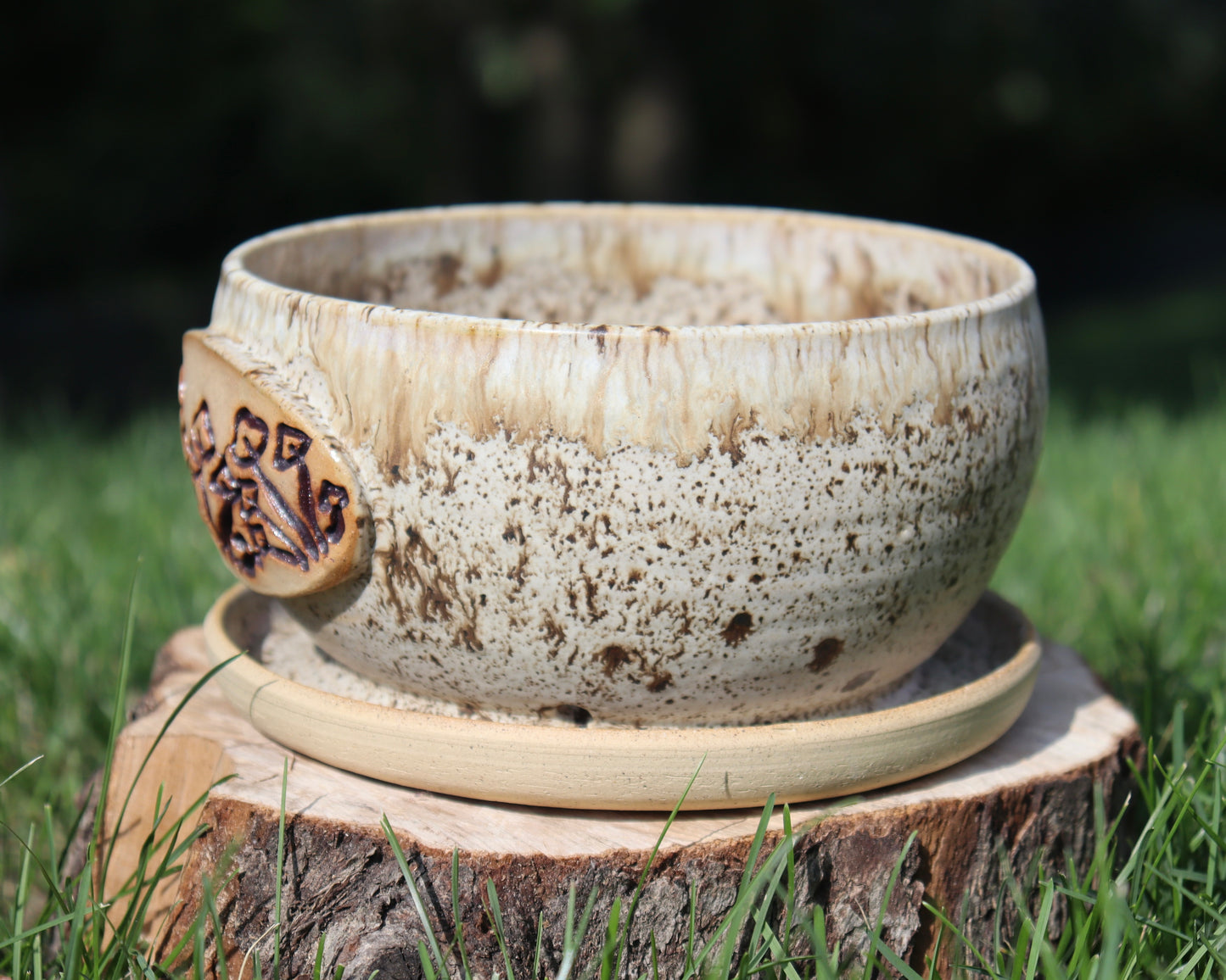 Melting Mushroom Planter