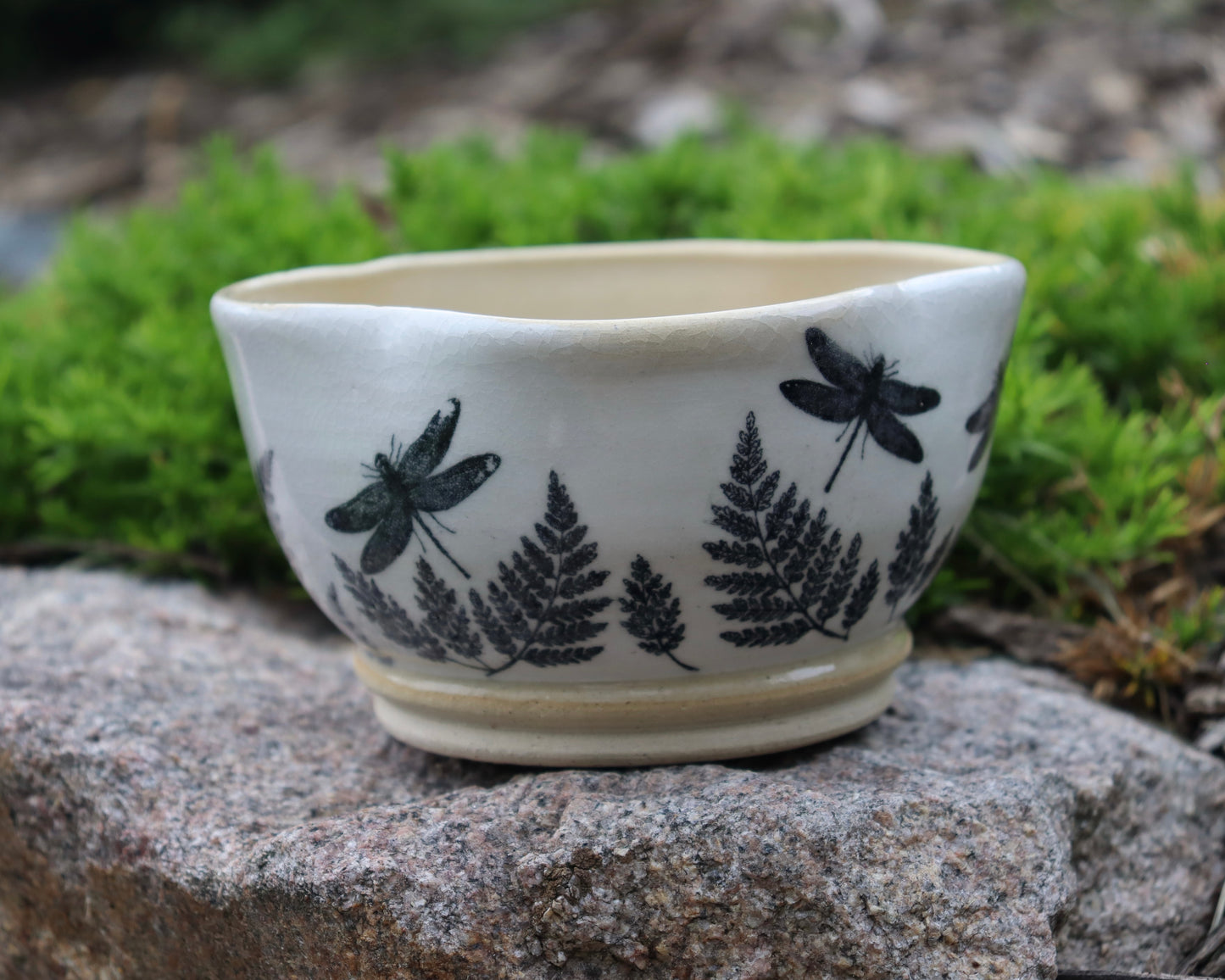 Dragonfly pot