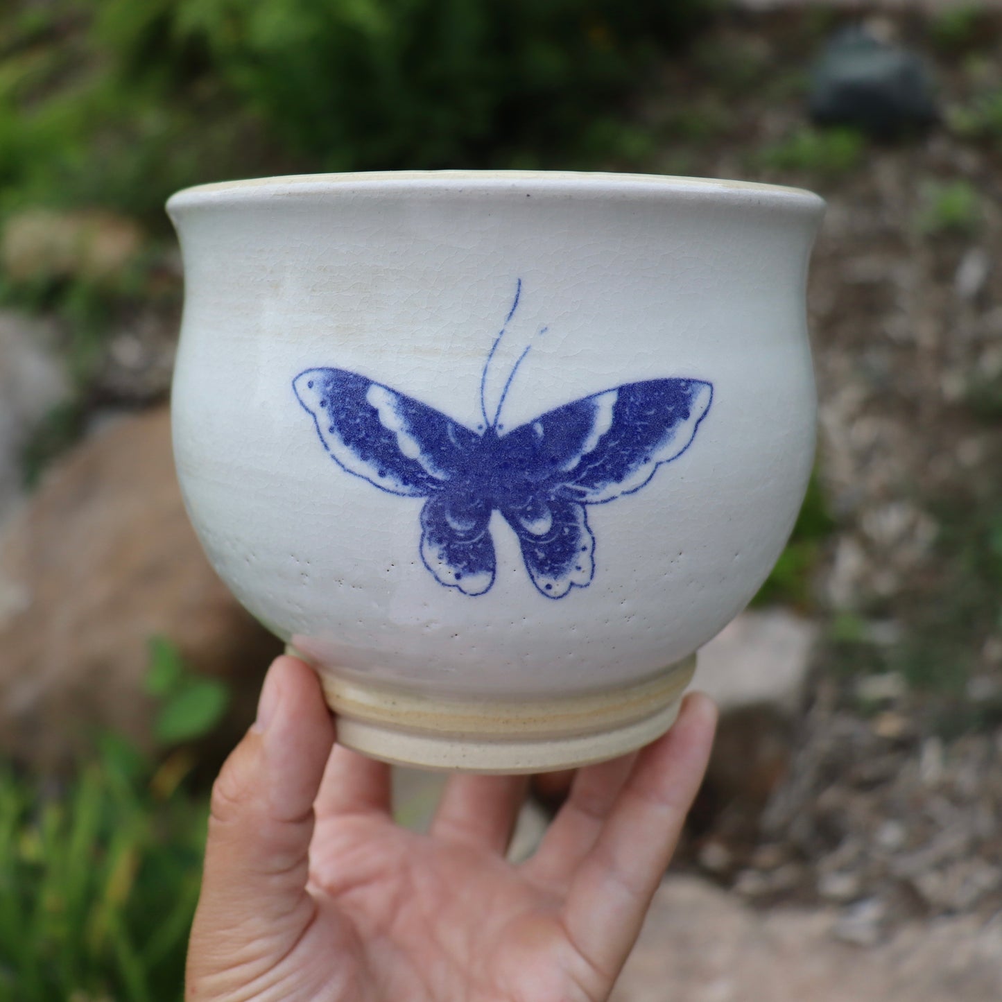 White Butterfly Pot