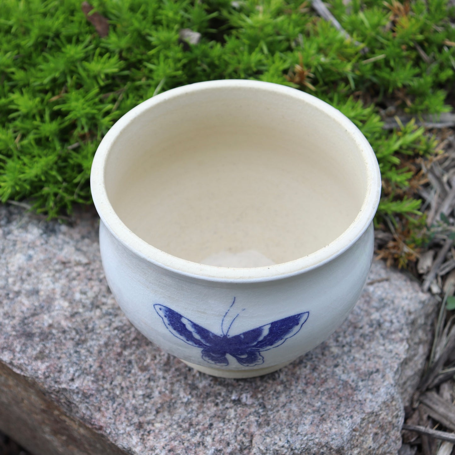 White Butterfly Pot