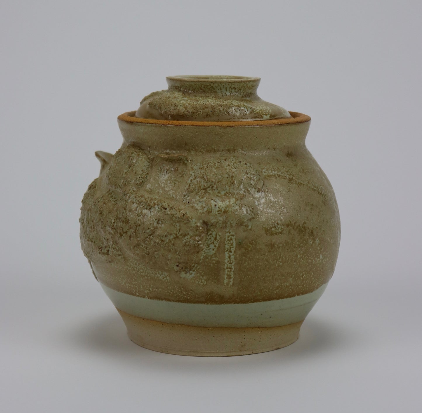 Moss and Mushroom Jar
