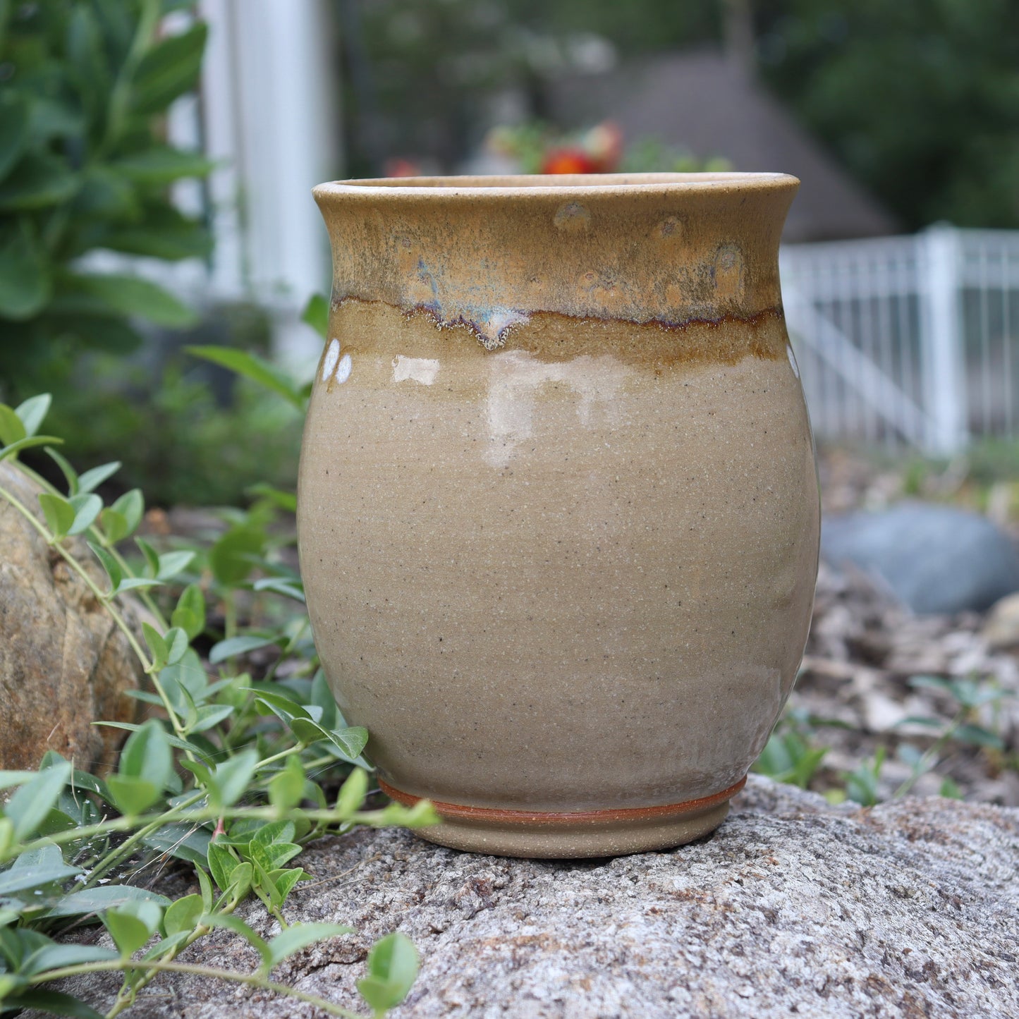 Desert Butterfly Pot