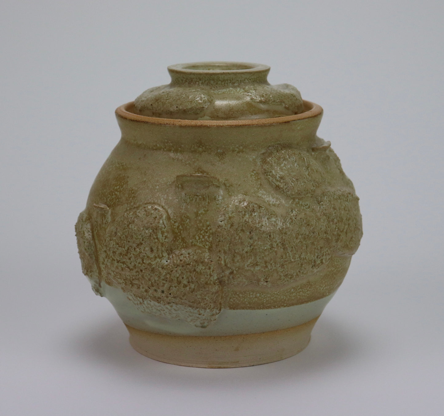 Moss and Mushroom Jar