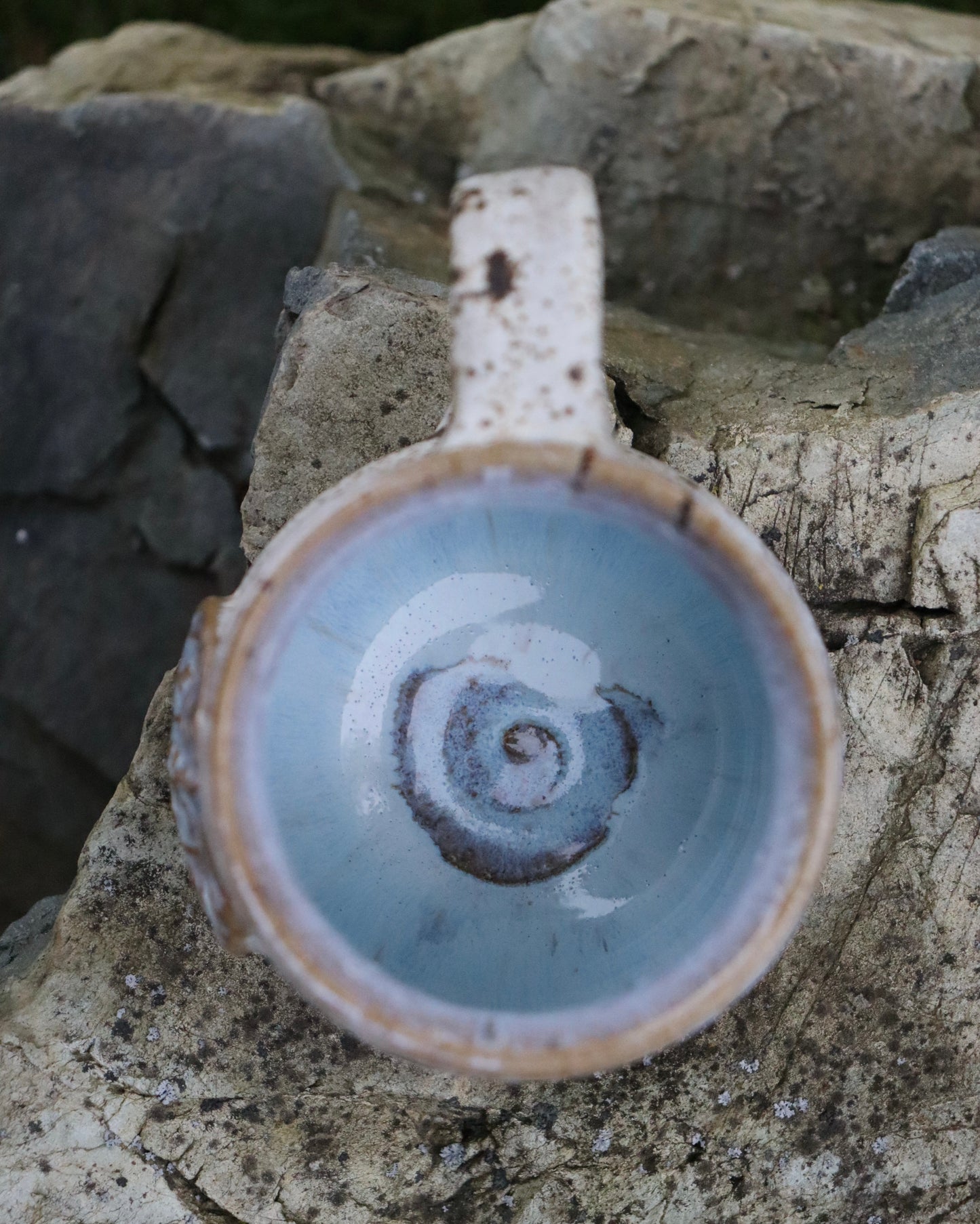 Winter Forest Mug #1