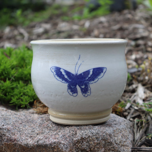 White Butterfly Pot
