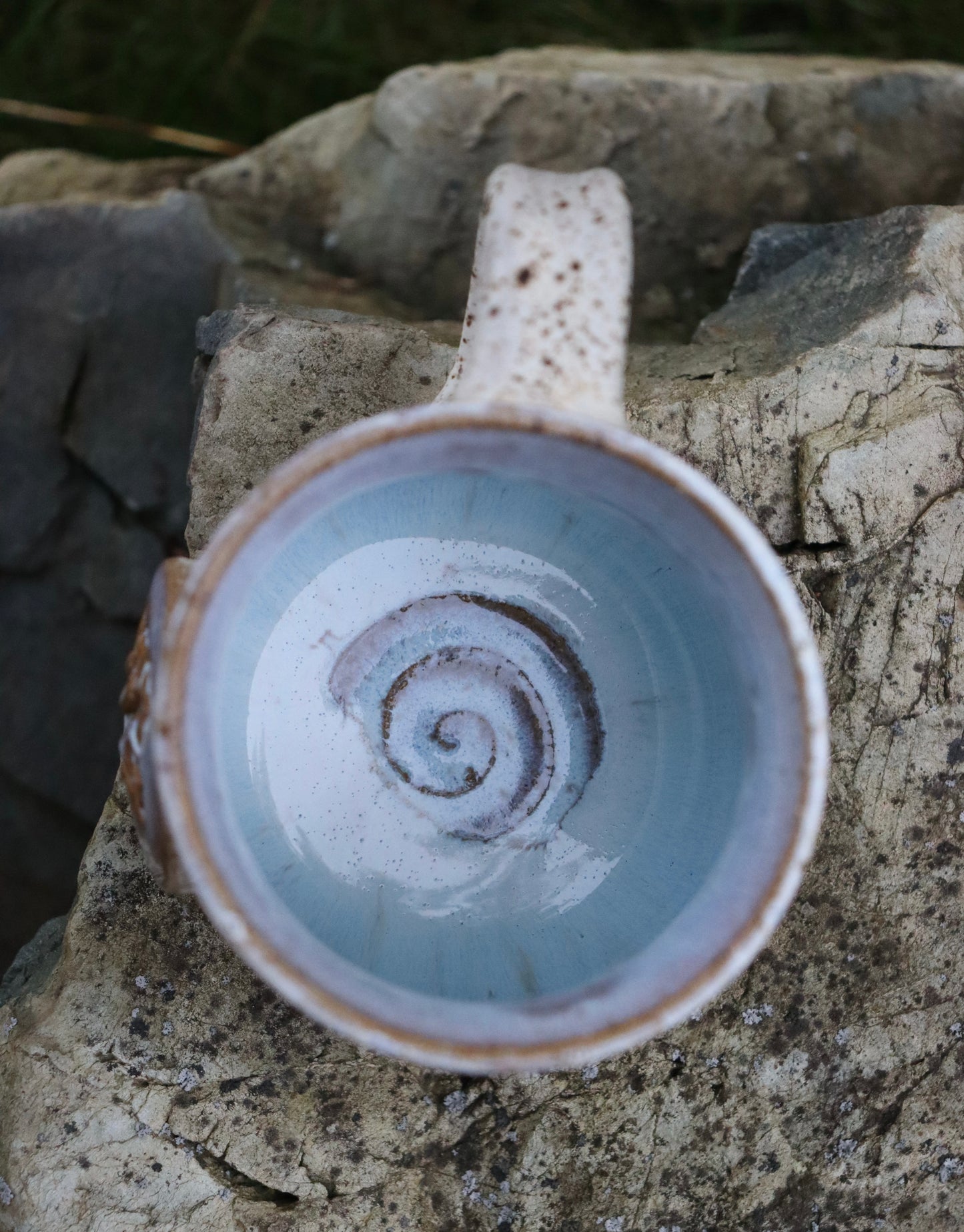 Icy Mushroom Mug #3