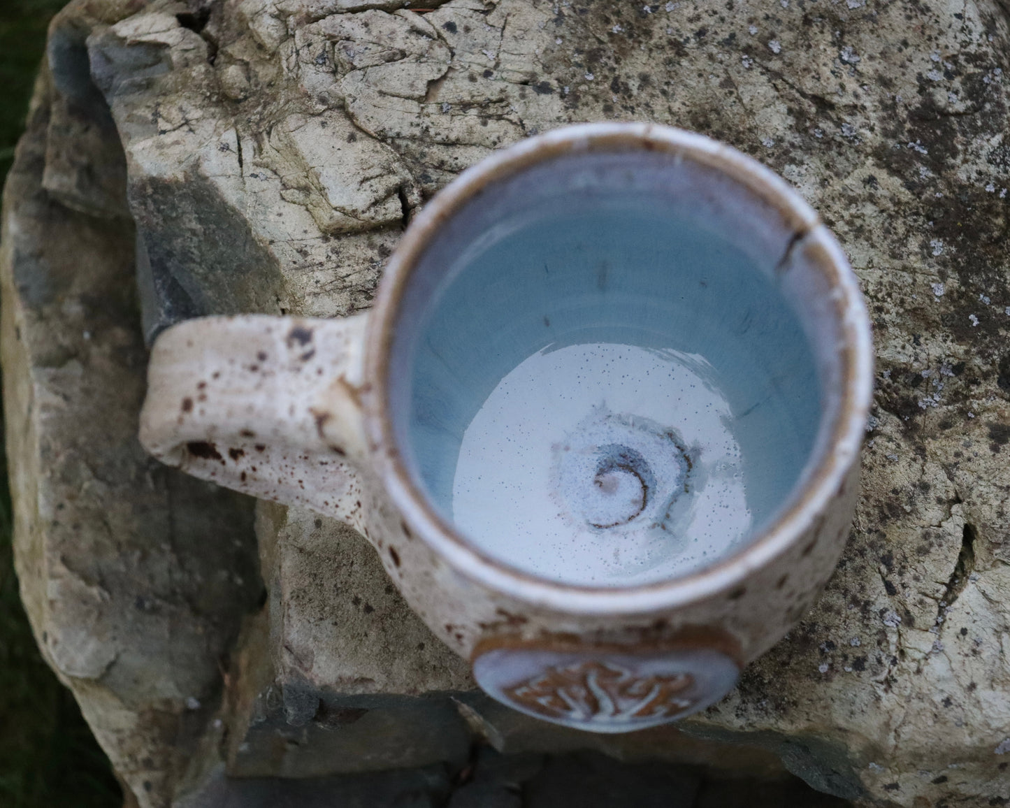 Icy Mushroom Mug #2